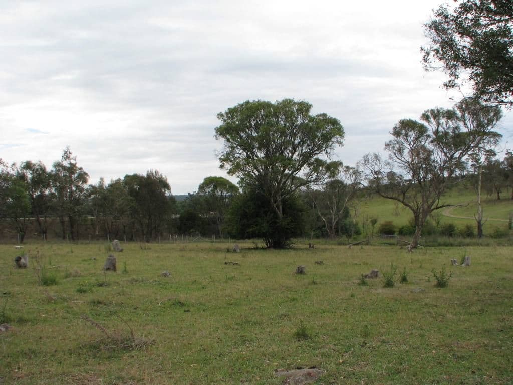 Lot 1 Cluny Road, ARMIDALE NSW 2350, Armidale - Thumbnail 3