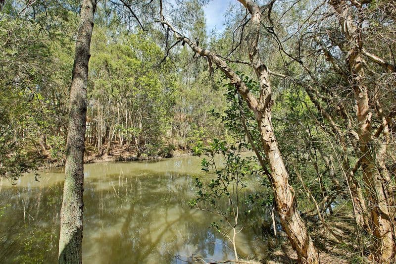 58 Macquarie Street, BONNELLS BAY NSW 2264, Bonnells Bay - Thumbnail 7