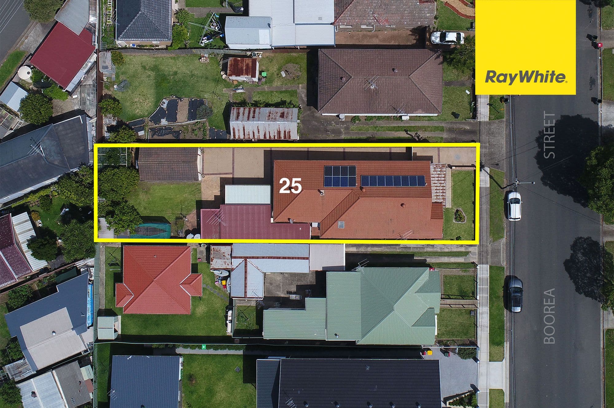25 Boorea Street, Lidcombe NSW 2141, Lidcombe - Thumbnail 8