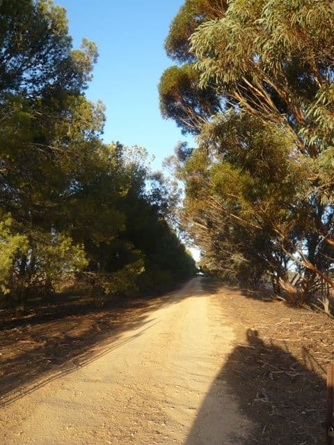 Portion Of Section 479M, APPILA SA 5480, Appila - Thumbnail 4