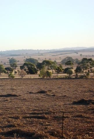 Portion Of Section 479M, APPILA SA 5480, Appila - Thumbnail 5