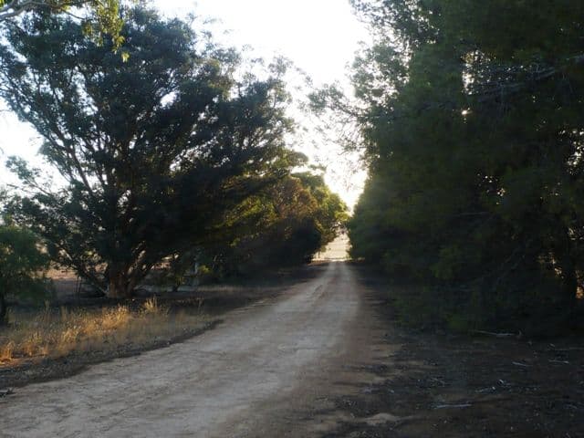 Portion Of Section 479M, APPILA SA 5480, Appila - Thumbnail 6