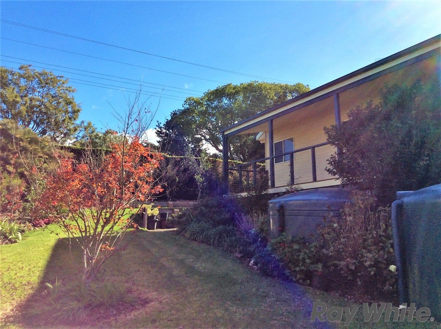 56 George Street, Latrobe, Latrobe - Thumbnail 5