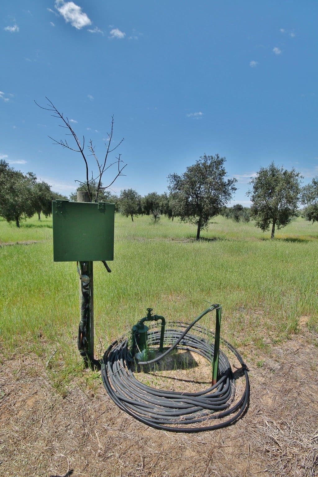 927 Monteagle Stock Route East, Monteagle via, Young NSW 2594, Young - Thumbnail 6