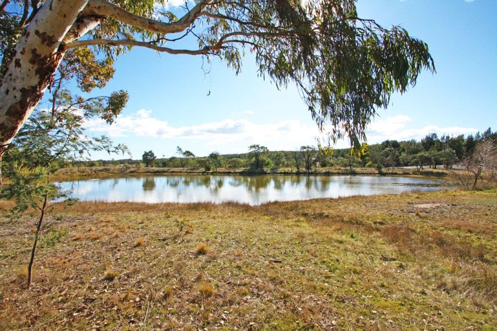 21 Hogan Drive, Wamboin NSW 2620, Wamboin - Thumbnail 7