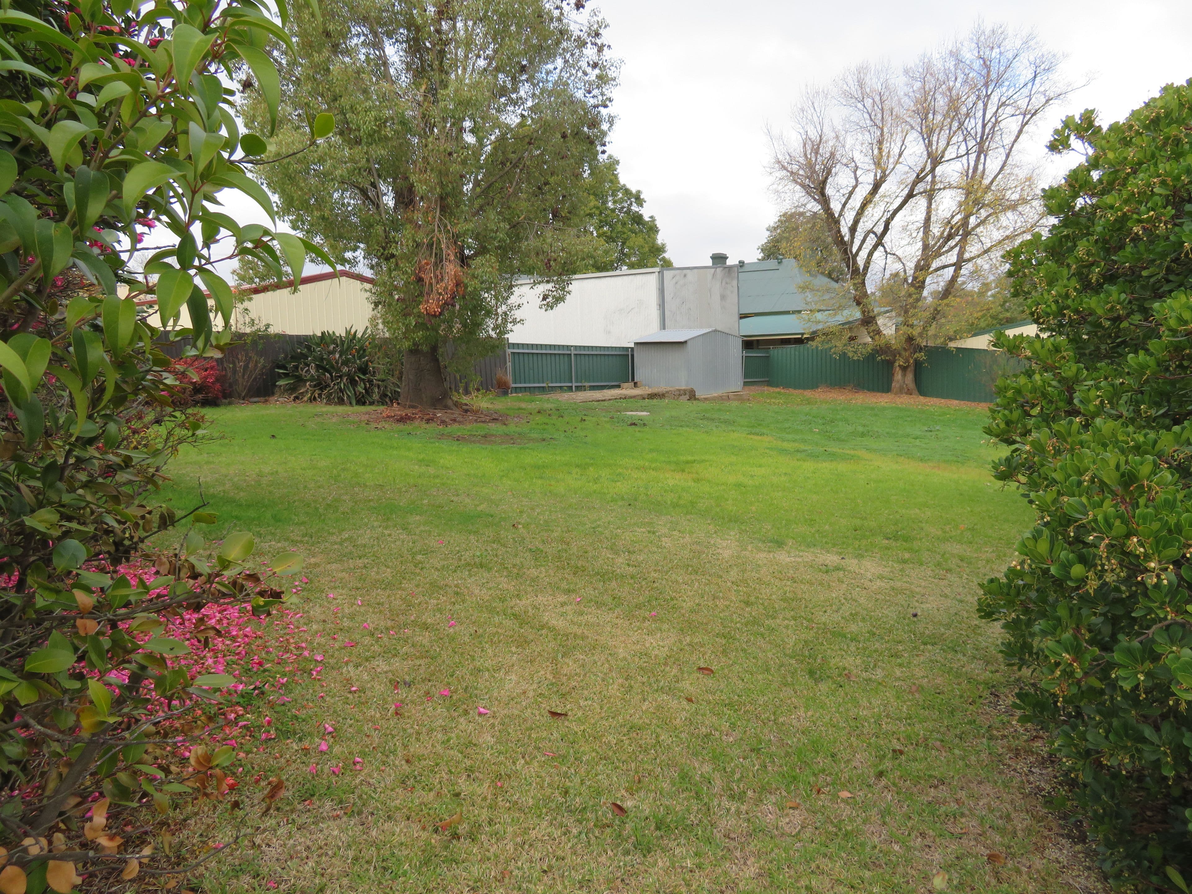 3 Carberry Place, Gundagai NSW 2722, Gundagai - Thumbnail 3