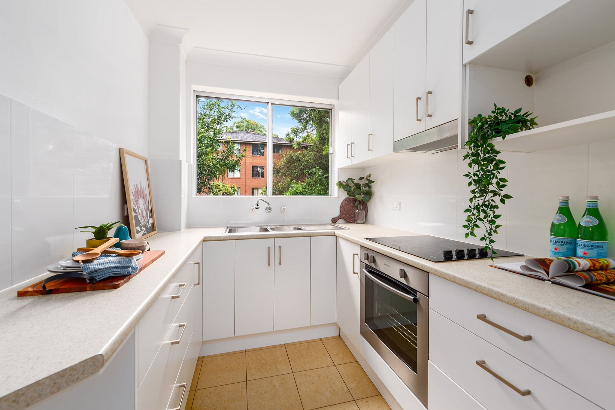33-37 Tupper Street, Enmore NSW 2042, Enmore - Thumbnail 5