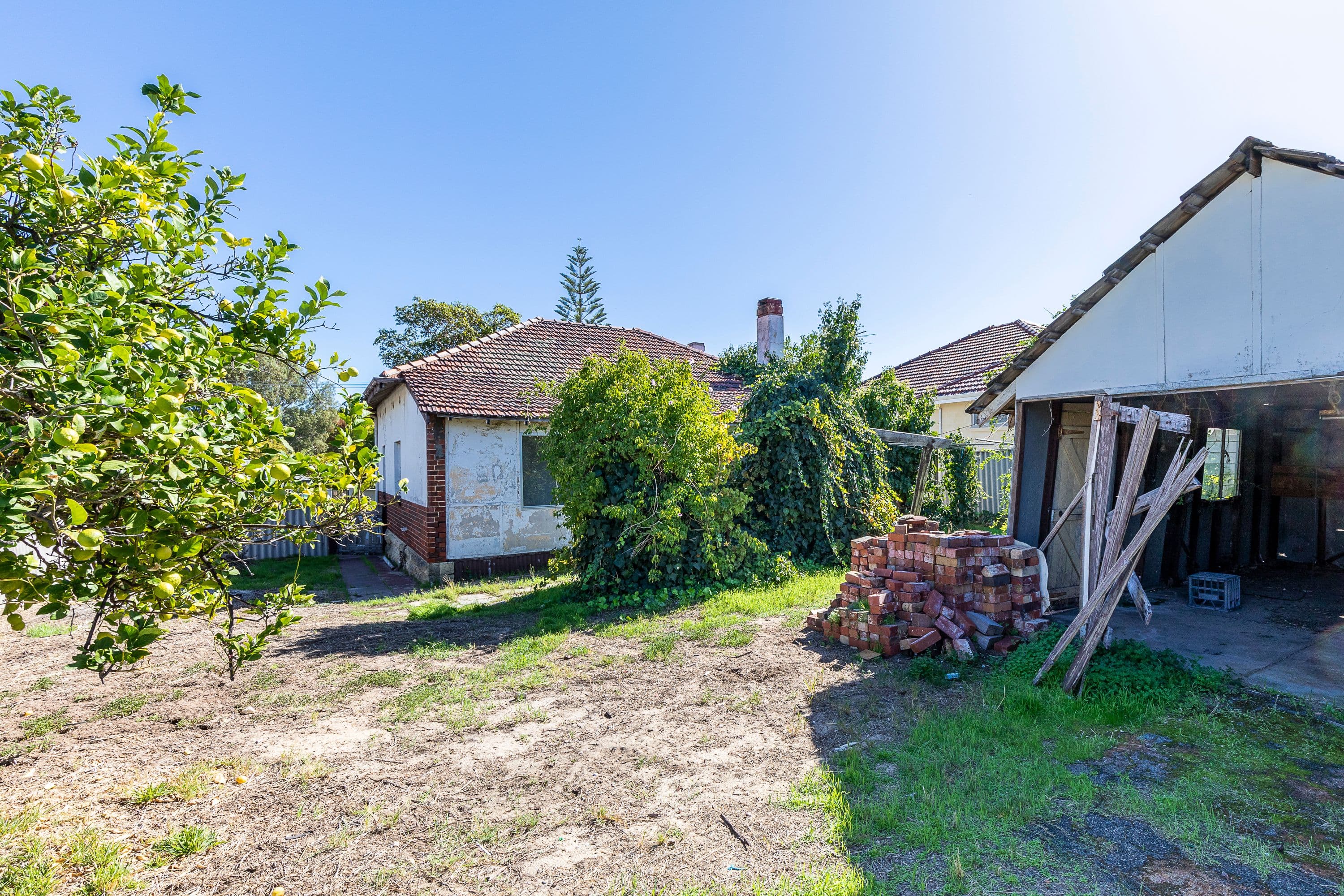 2 Federation Street, Mount Hawthorn WA 6016, Mount Hawthorn - Thumbnail 7
