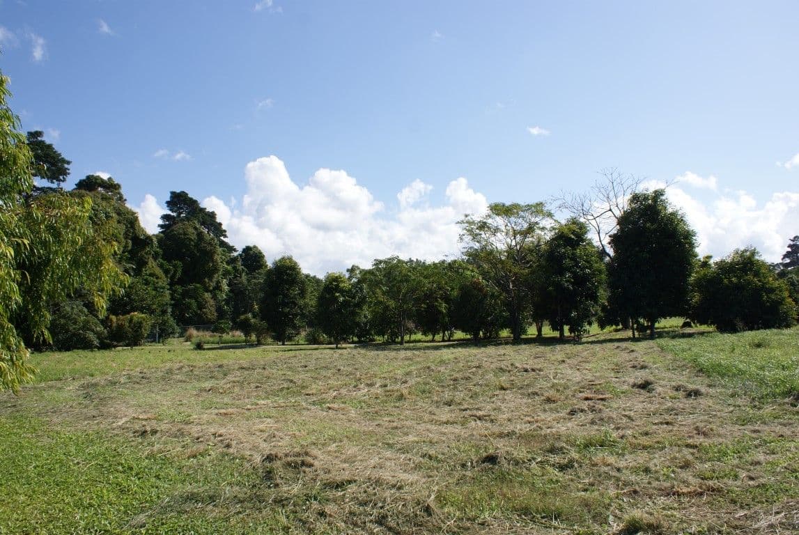 Lot 19 Reef Close, Mission Beach QLD 4852, Mission Beach - Thumbnail 3