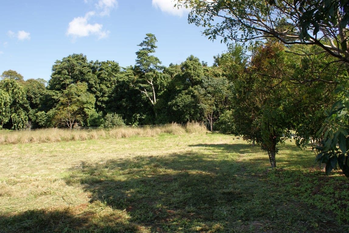 Lot 19 Reef Close, Mission Beach QLD 4852, Mission Beach - Thumbnail 4