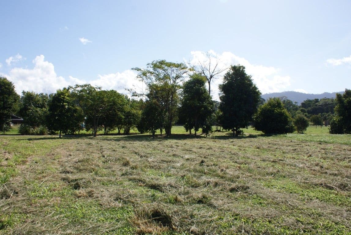 Lot 19 Reef Close, Mission Beach QLD 4852, Mission Beach - Thumbnail 5
