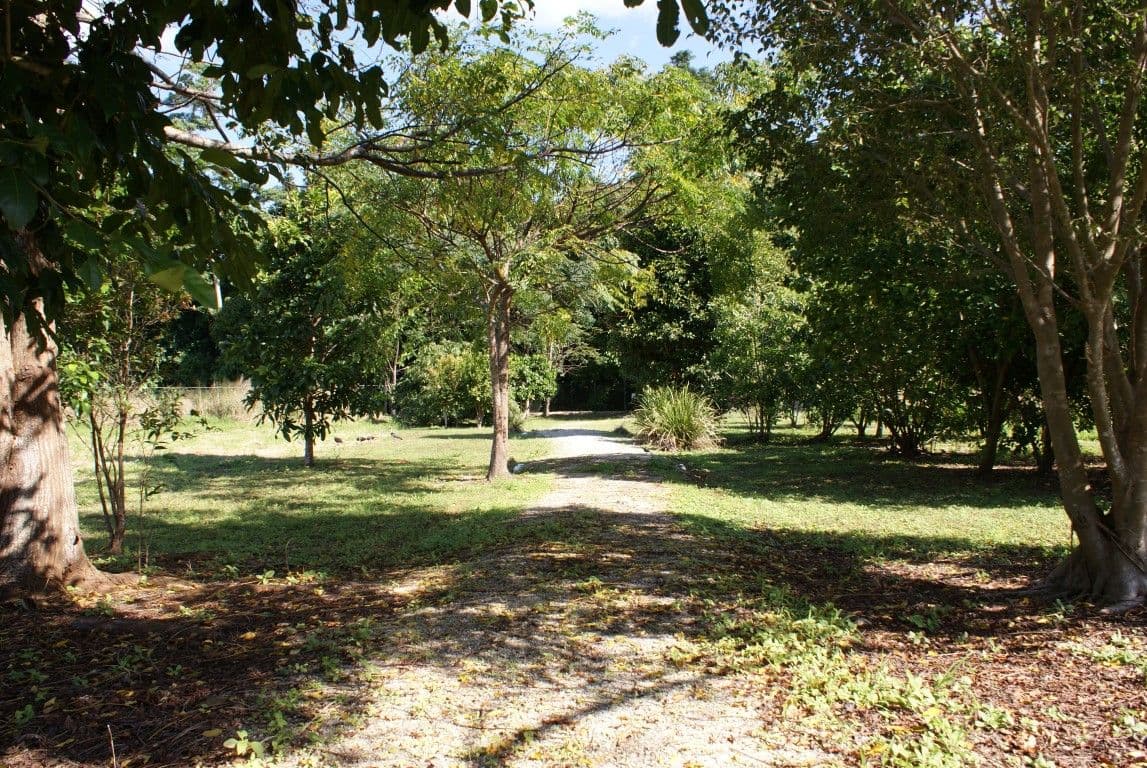 Lot 19 Reef Close, Mission Beach QLD 4852, Mission Beach - Thumbnail 6