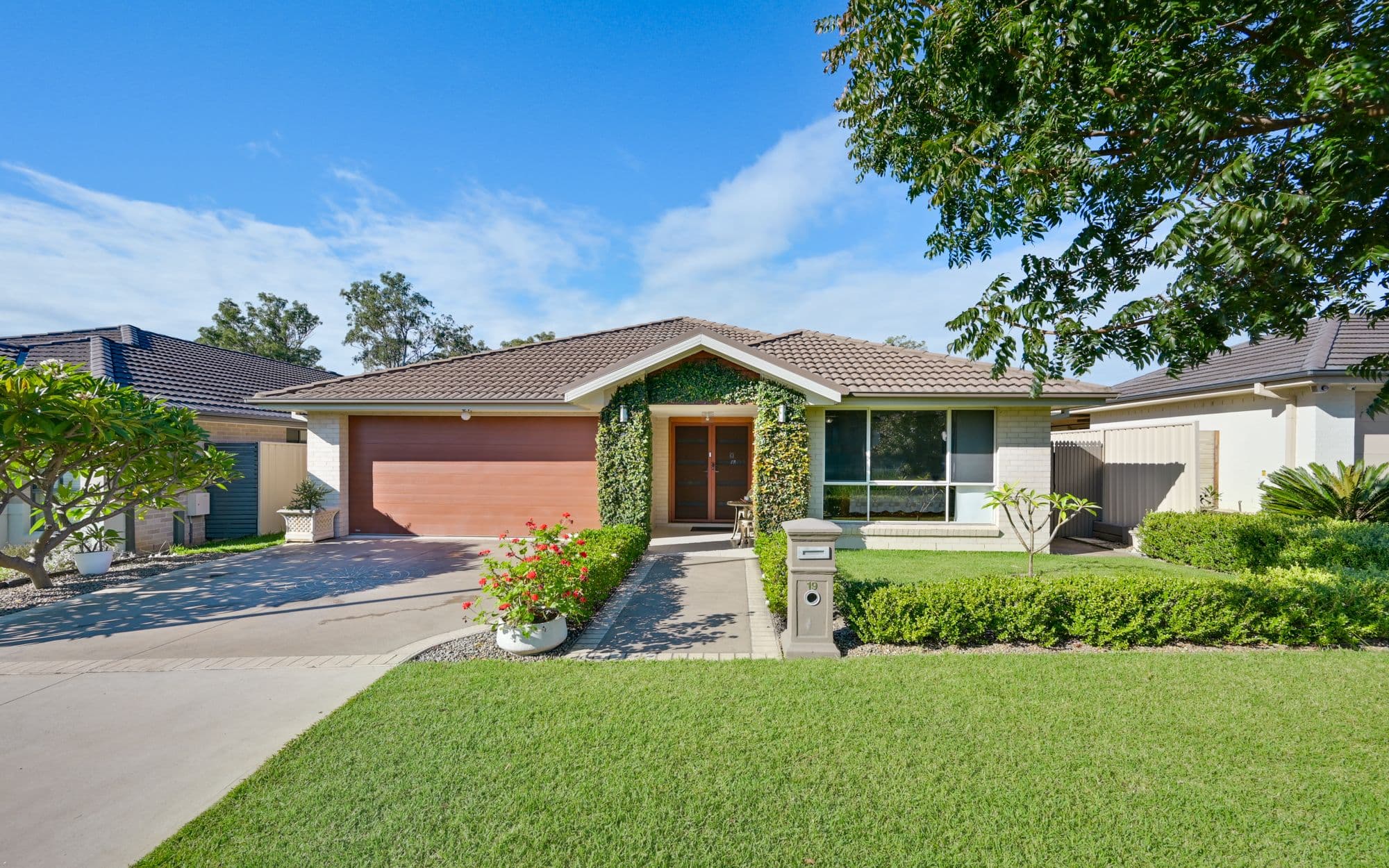19 Beechey Circuit, Oran Park NSW 2570, Oran Park - Thumbnail 2