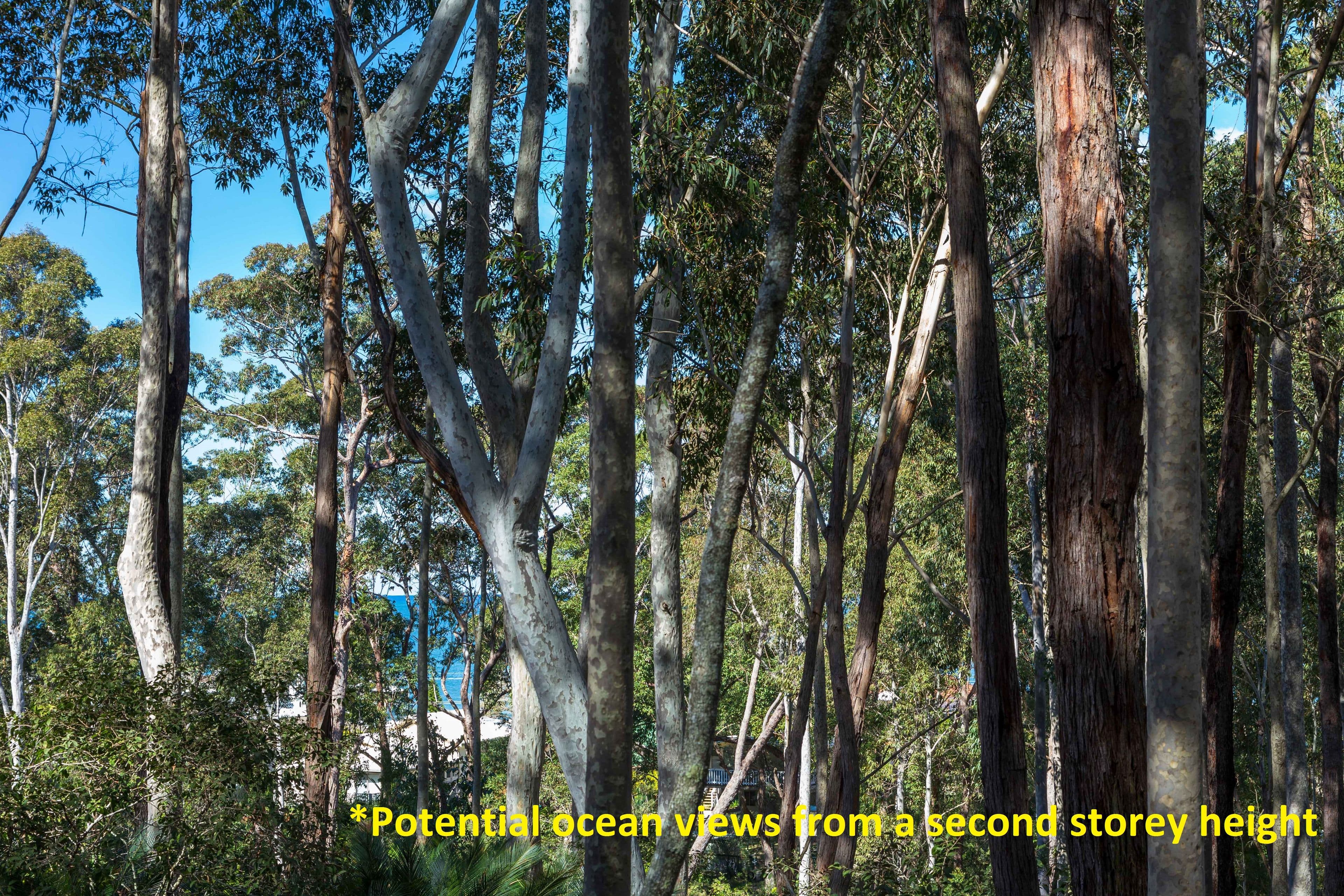 Lot 54 Sandy Place, Long Beach NSW 2536, Long Beach - Thumbnail 3