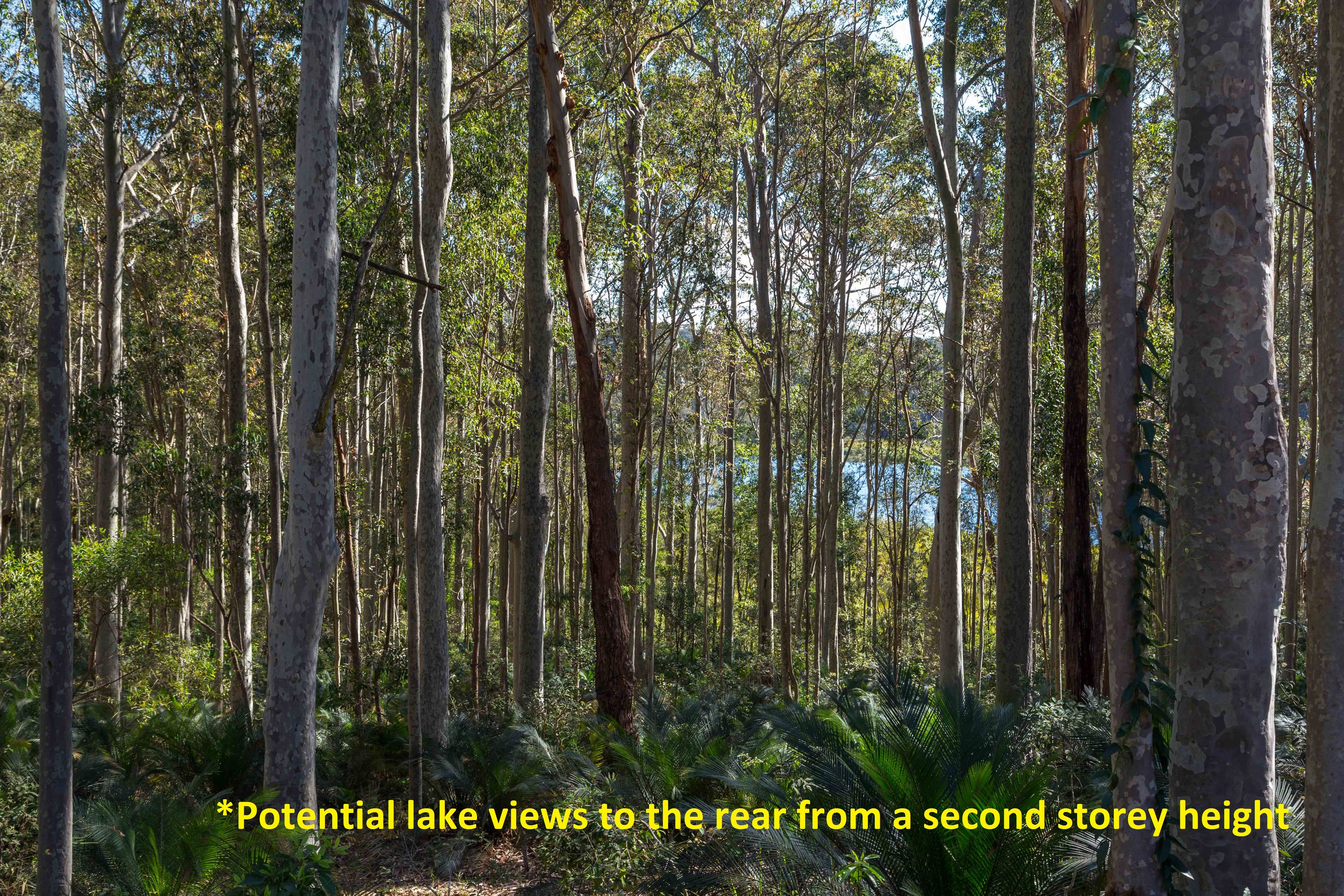 Lot 54 Sandy Place, Long Beach NSW 2536, Long Beach - Thumbnail 4