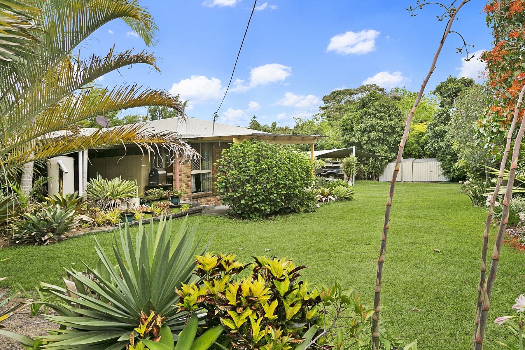 9-11 Rojan Court, Elimbah QLD 4516, Elimbah - Thumbnail 5