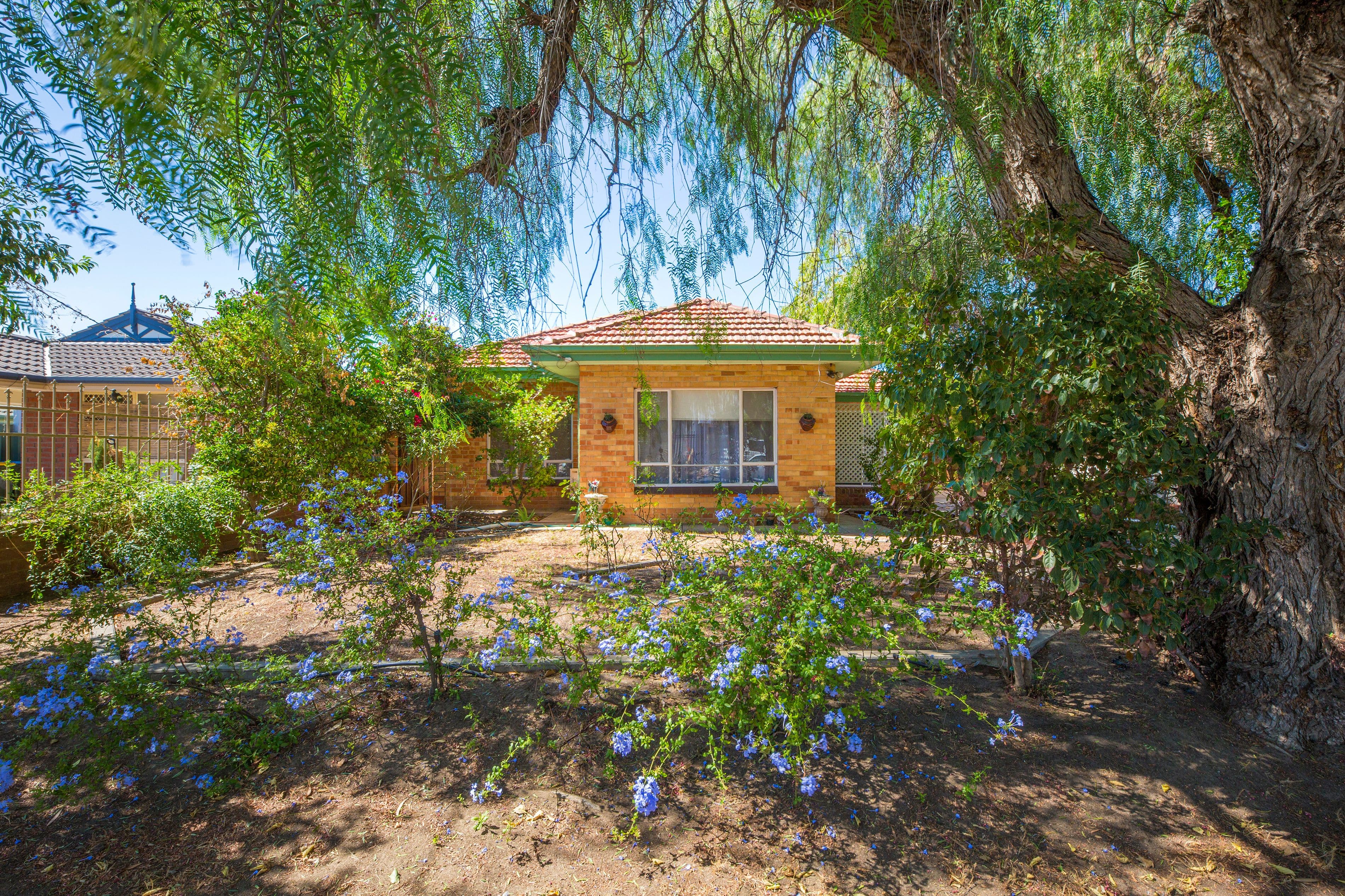 7 Tania Avenue, Windsor Gardens SA 5087, Windsor Gardens - Image 1
