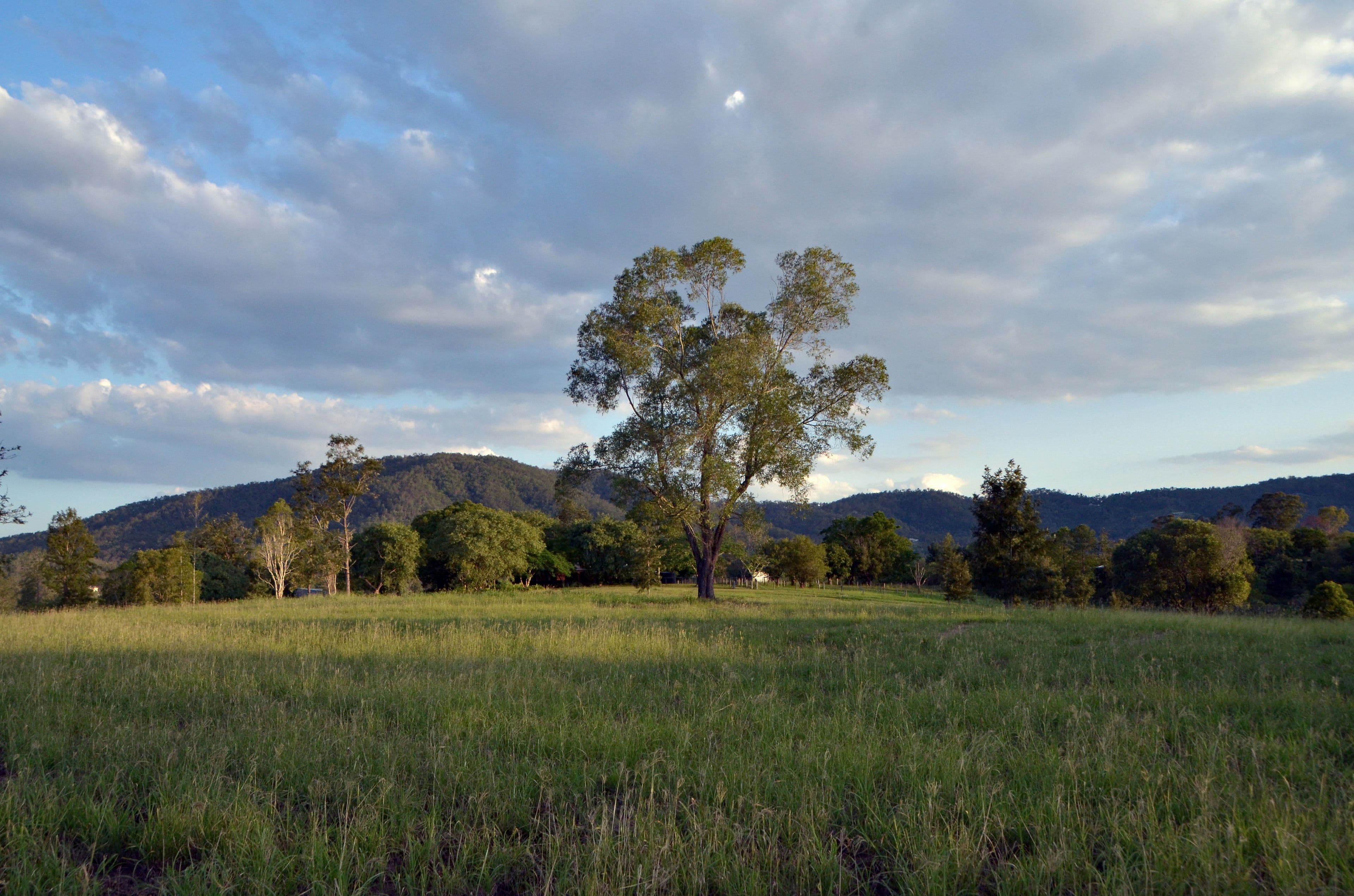 Samford Valley QLD 4520, Samford Valley - Image 1