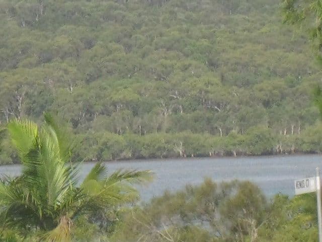 17 Jasper Street, RUSSELL ISLAND QLD 4184, Russell Island - Thumbnail 3
