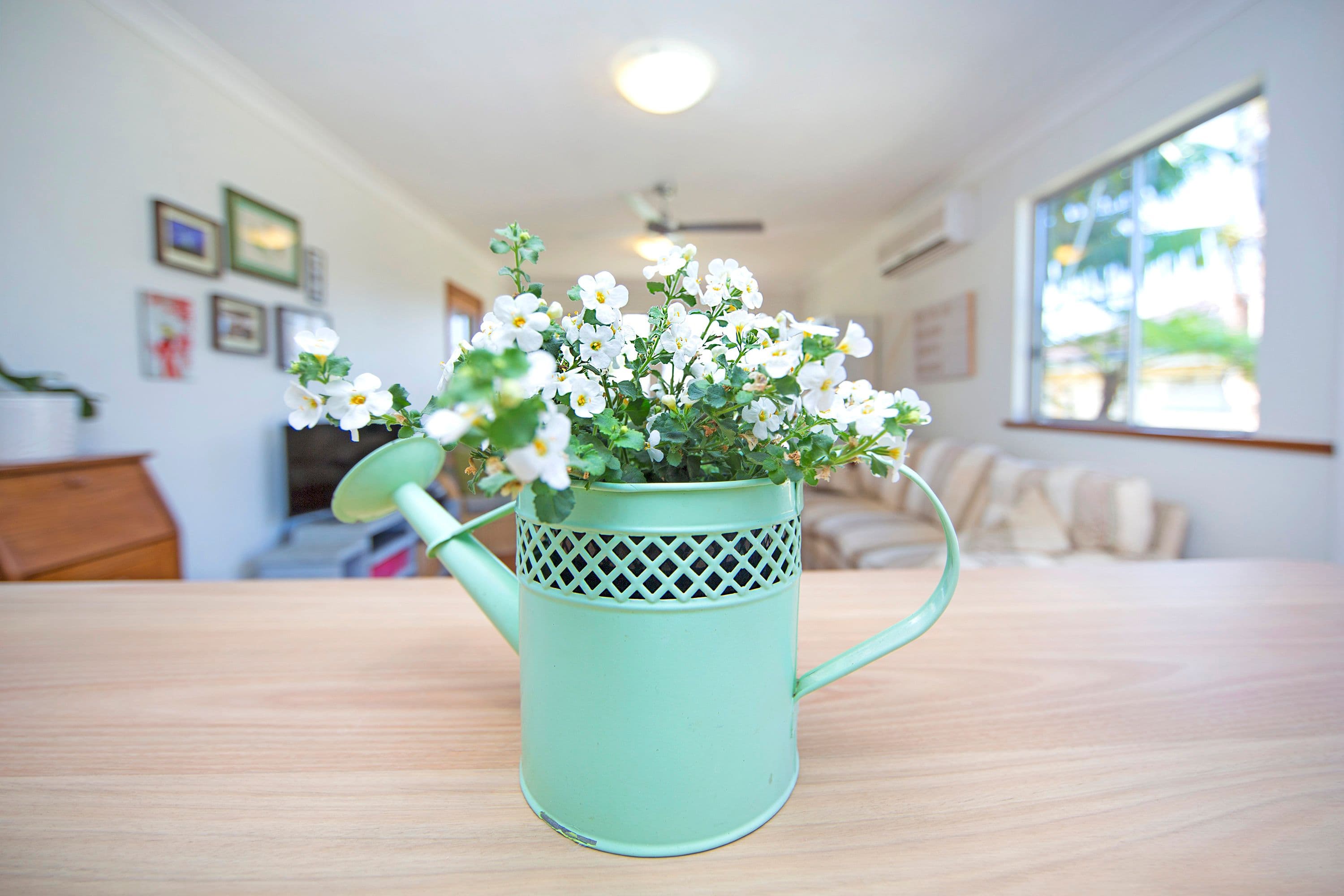 6 Shropshire Street, Gorokan - Thumbnail 8