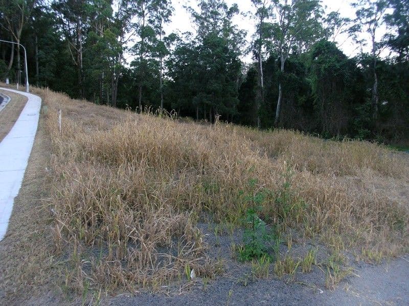 LISAROW NSW 2250, Lisarow - Thumbnail 4