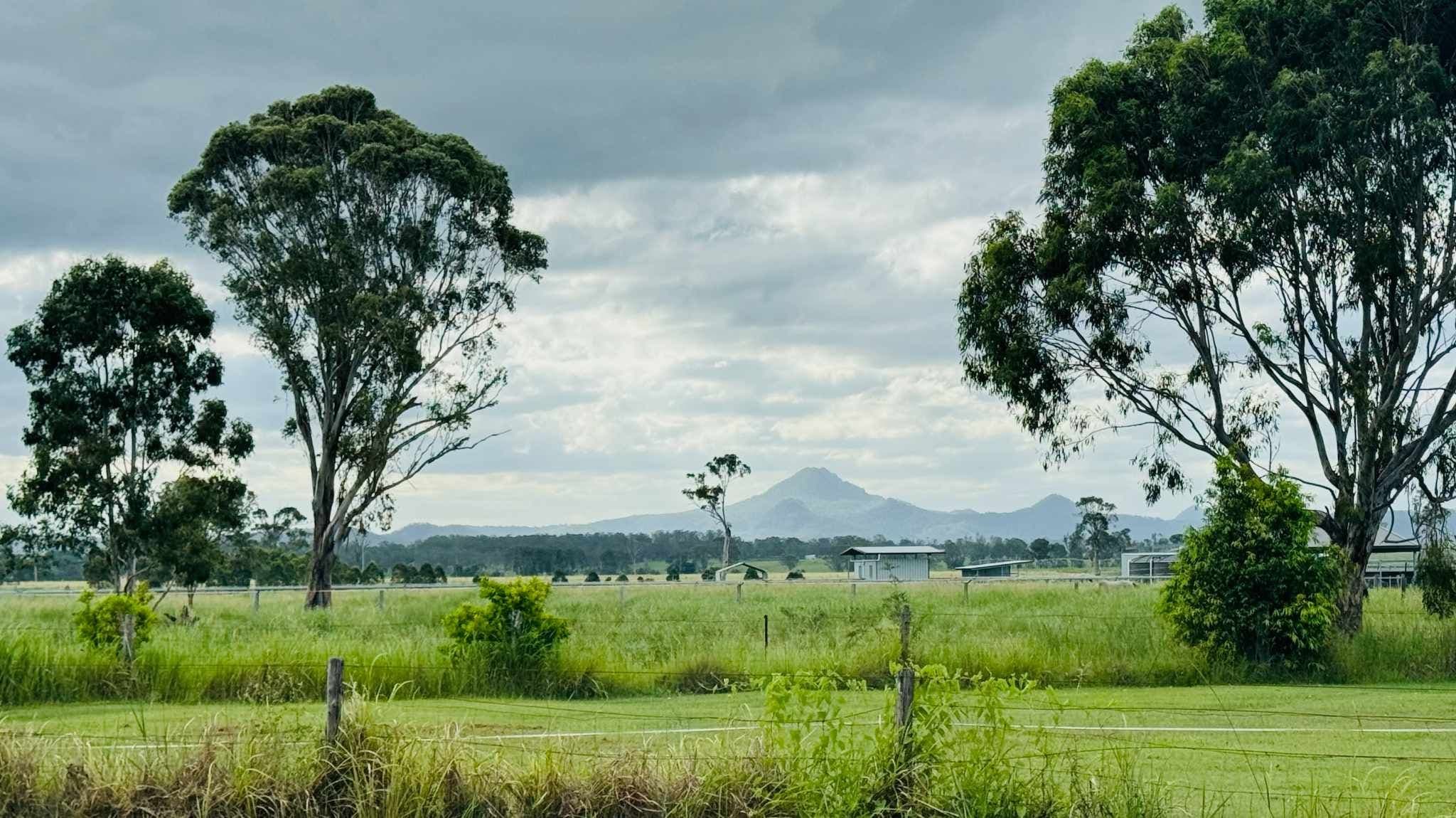 54 Russell Court, Cedar Grove QLD 4285, Cedar Grove - Thumbnail 4