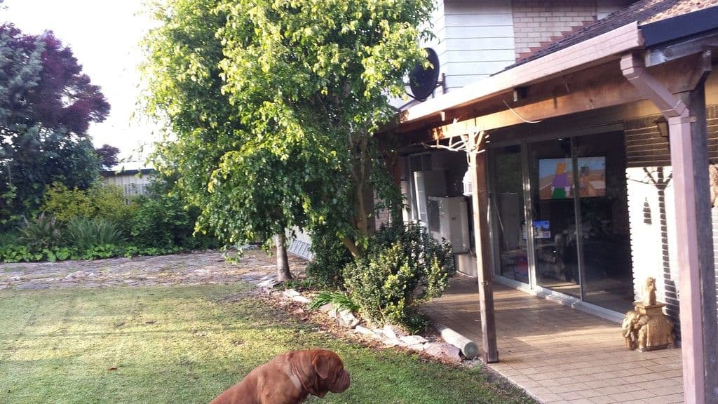 57 Hassell Street, Mount Barker WA 6324, Mount Barker - Thumbnail 2