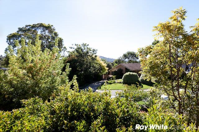 16 Cheel Place, FARRER ACT 2607, Farrer - Thumbnail 4
