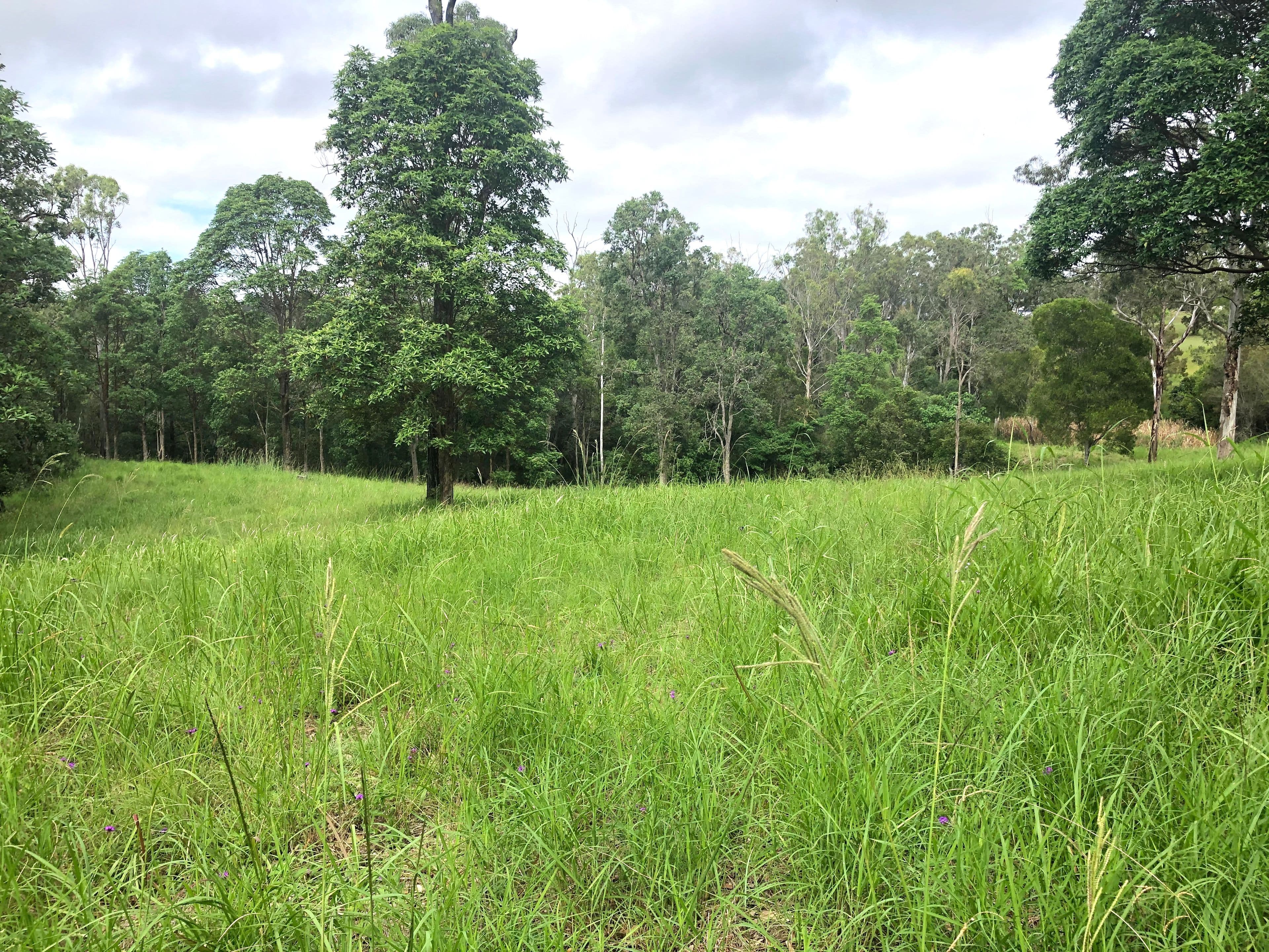 31A Dean Drive, Ocean View QLD 4521, Ocean View - Thumbnail 3