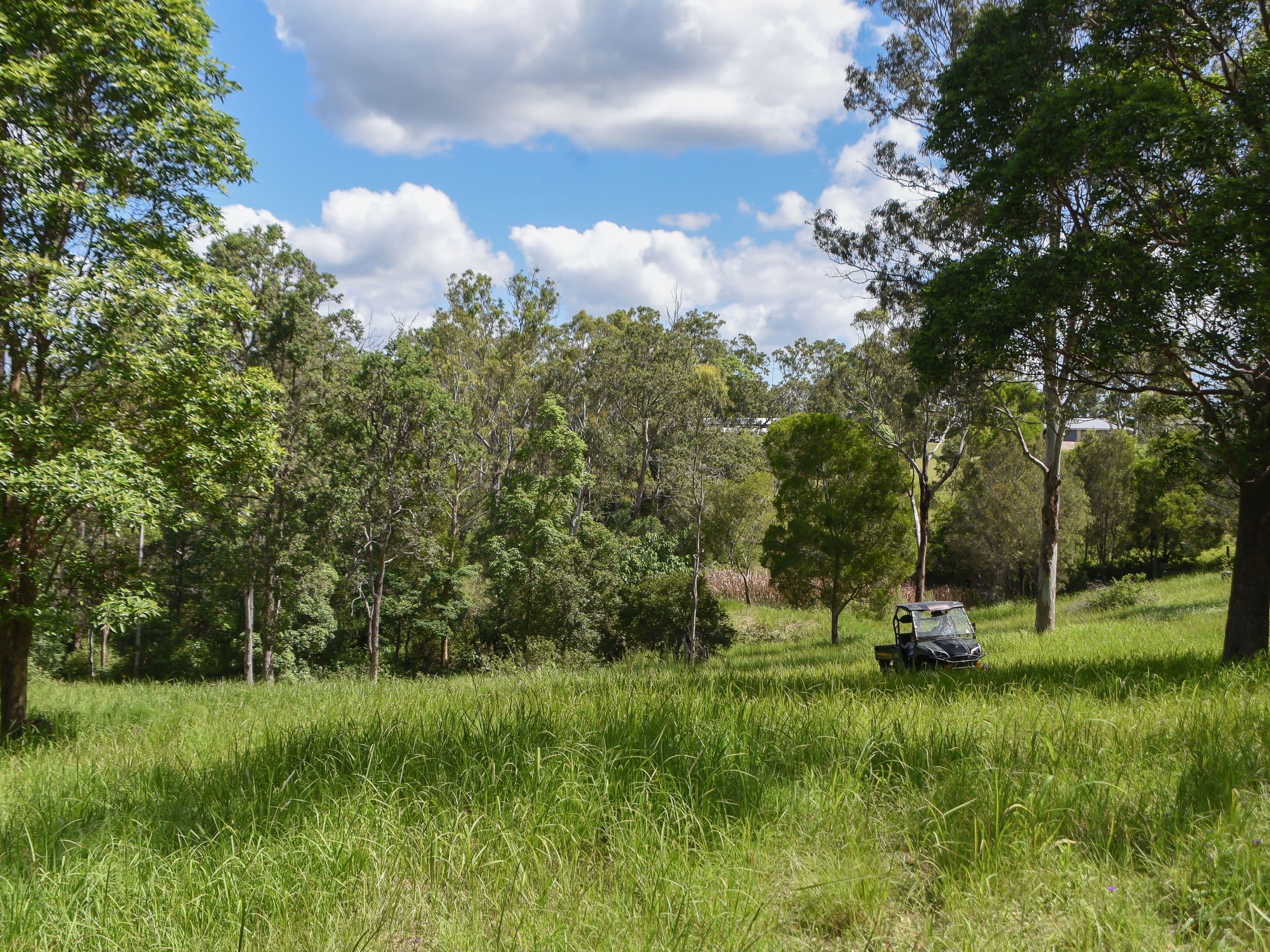 31A Dean Drive, Ocean View QLD 4521, Ocean View - Thumbnail 5
