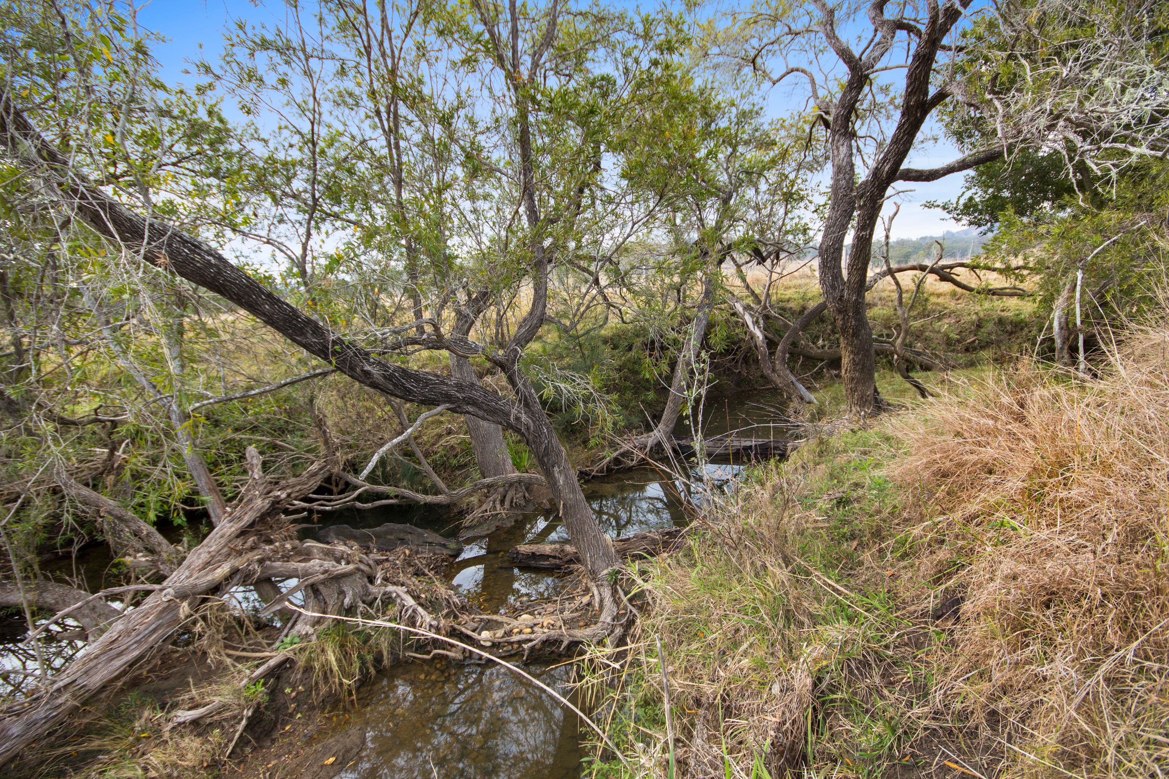 111 Dwyer Ridges Road, Mount Alford QLD 4310, Mount Alford - Thumbnail 2