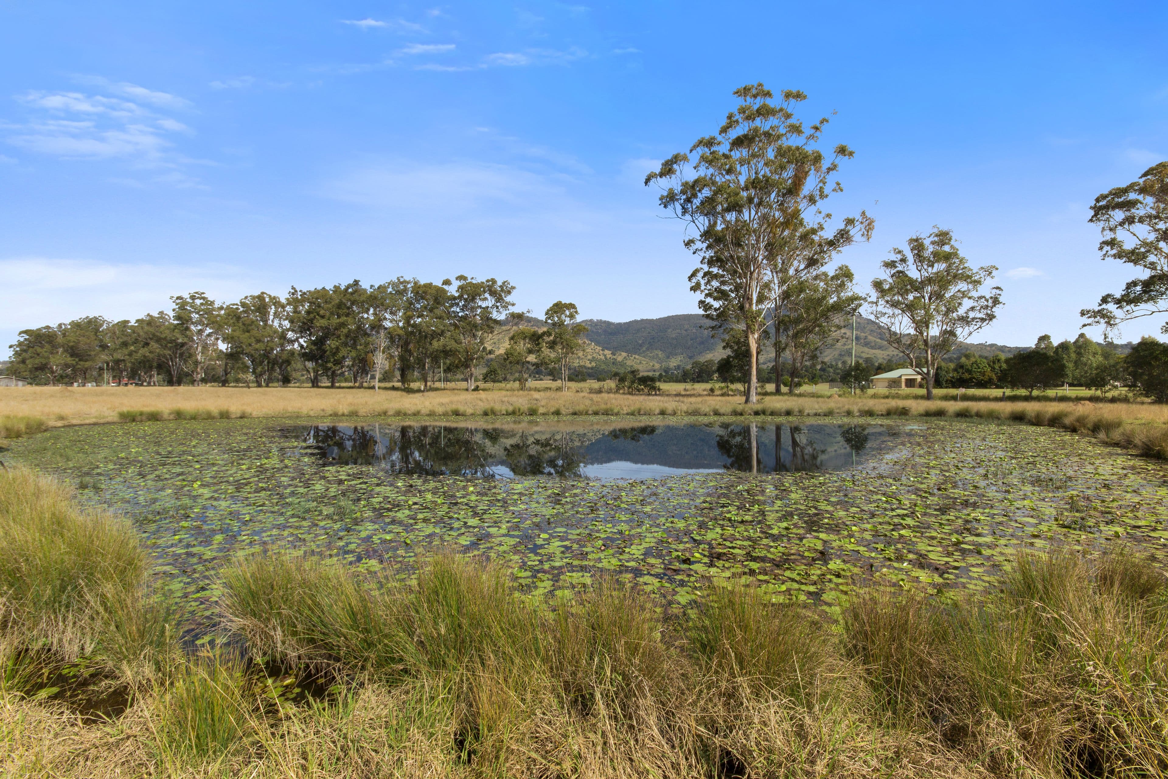 111 Dwyer Ridges Road, Mount Alford QLD 4310, Mount Alford - Thumbnail 3