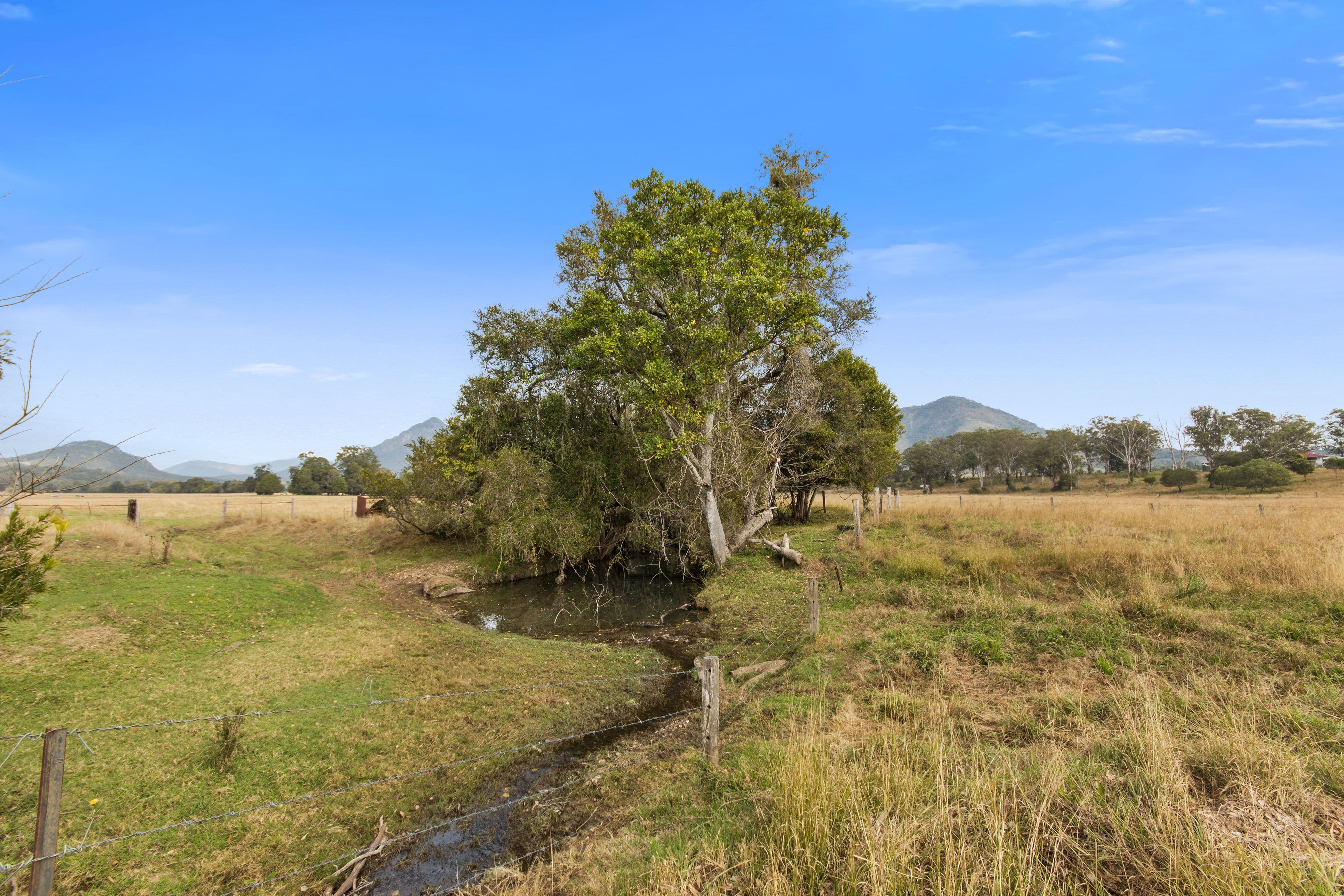 111 Dwyer Ridges Road, Mount Alford QLD 4310, Mount Alford - Thumbnail 5