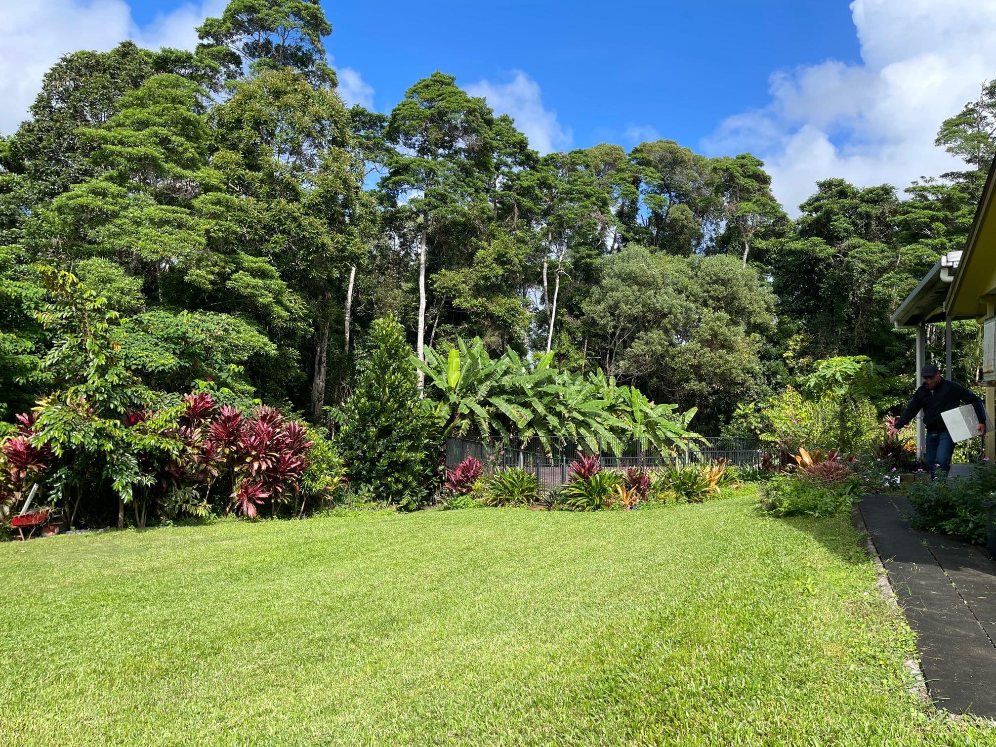 61 Butler Drive, Kuranda QLD 4881, Kuranda - Thumbnail 5
