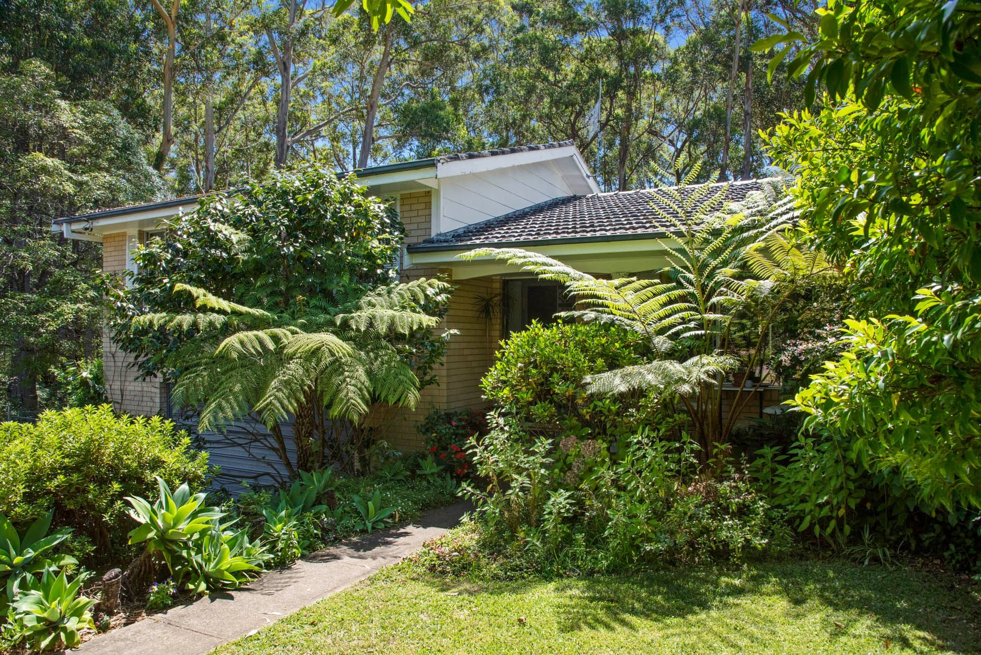 2 Croft Avenue, Ulladulla NSW 2539, Ulladulla - Thumbnail 2