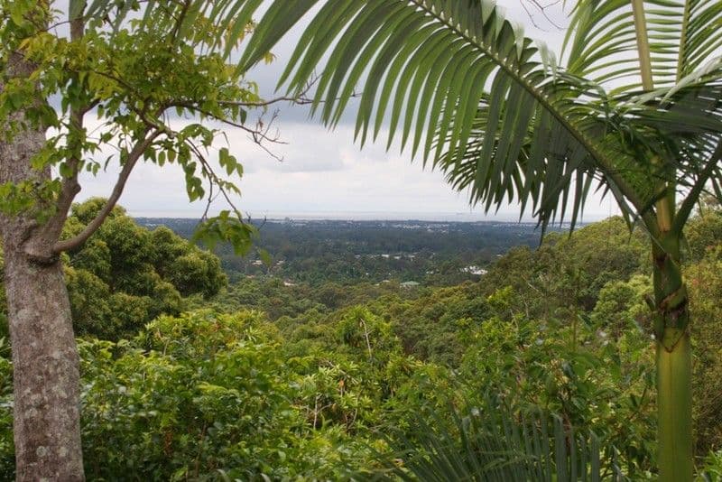 45 Nyes Crescent, BUDERIM QLD 4556, Buderim - Image 1