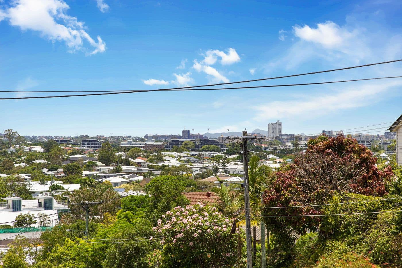 35 Pine Street, Bulimba QLD 4171, Bulimba - Thumbnail 3
