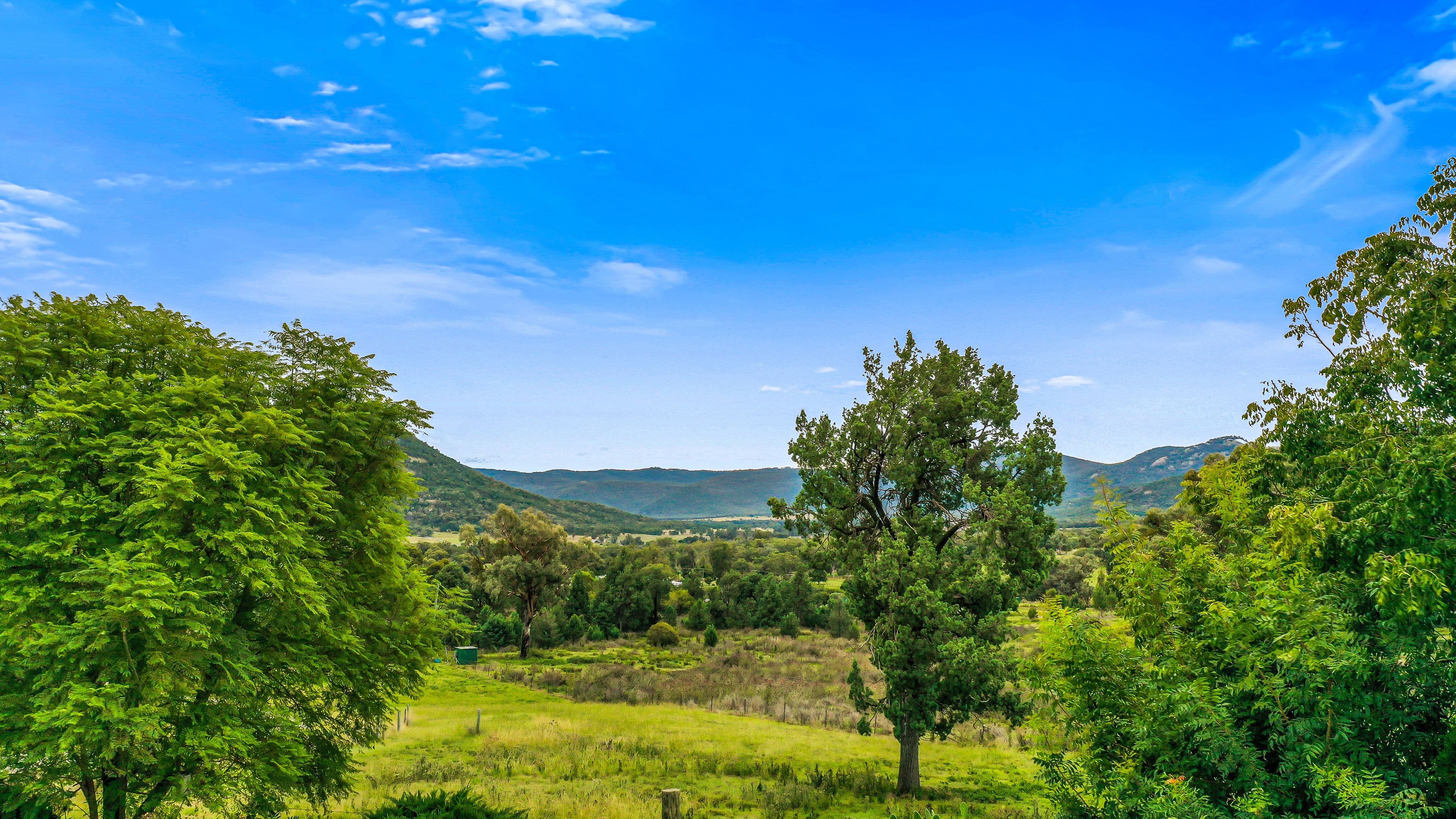 31 Leehy Court, Tamworth NSW 2340, Daruka - Thumbnail 5