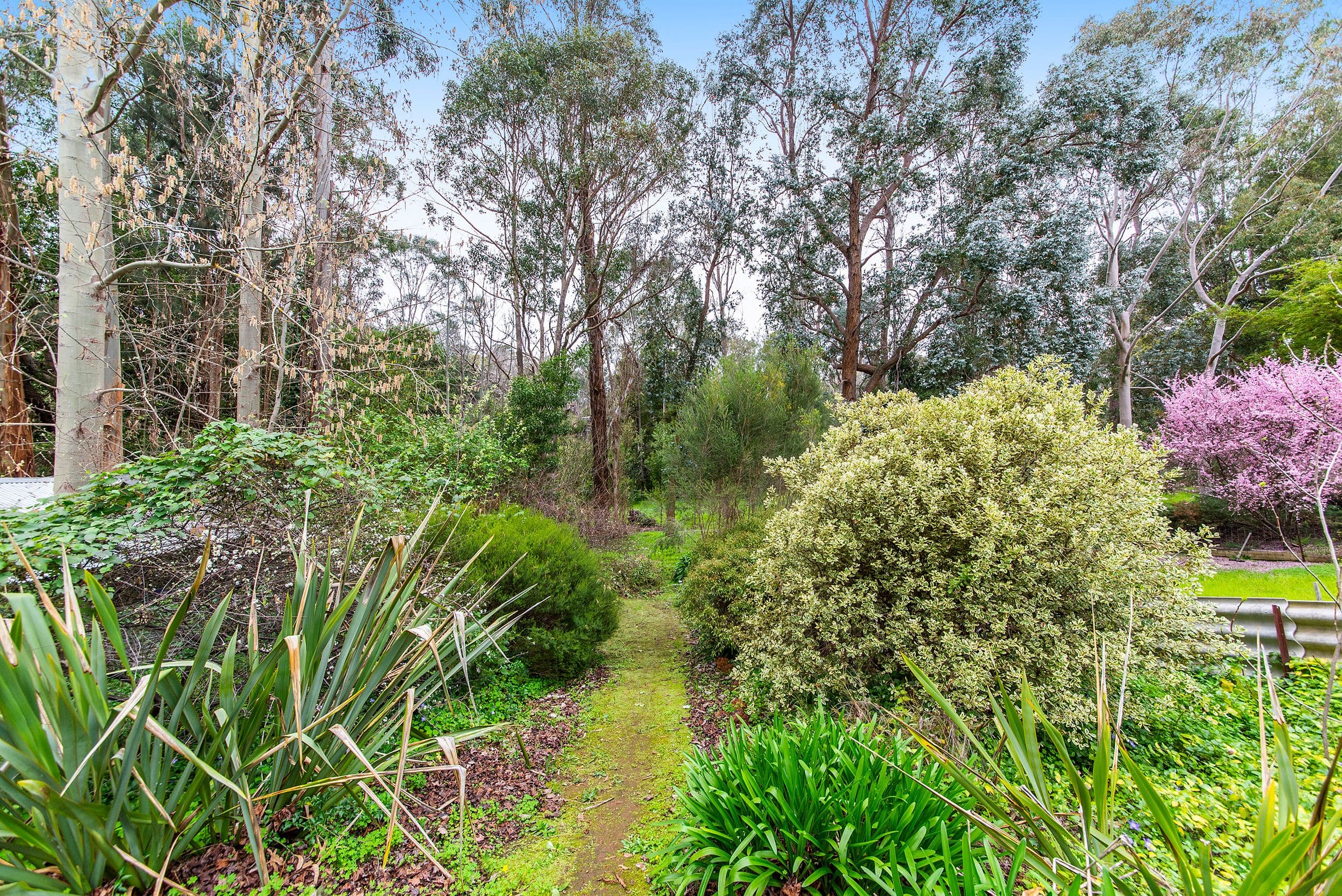29 Grange Road, Nannup WA 6275, Nannup - Thumbnail 2