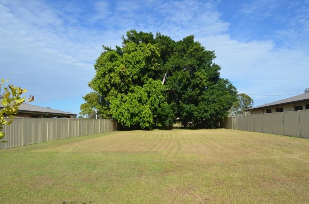 6 Osprey Drive, JACOBS WELL QLD 4208, Jacobs Well - Thumbnail 2