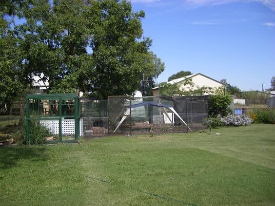 87 Louisa Street, MITCHELL QLD 4465, Mitchell - Thumbnail 8