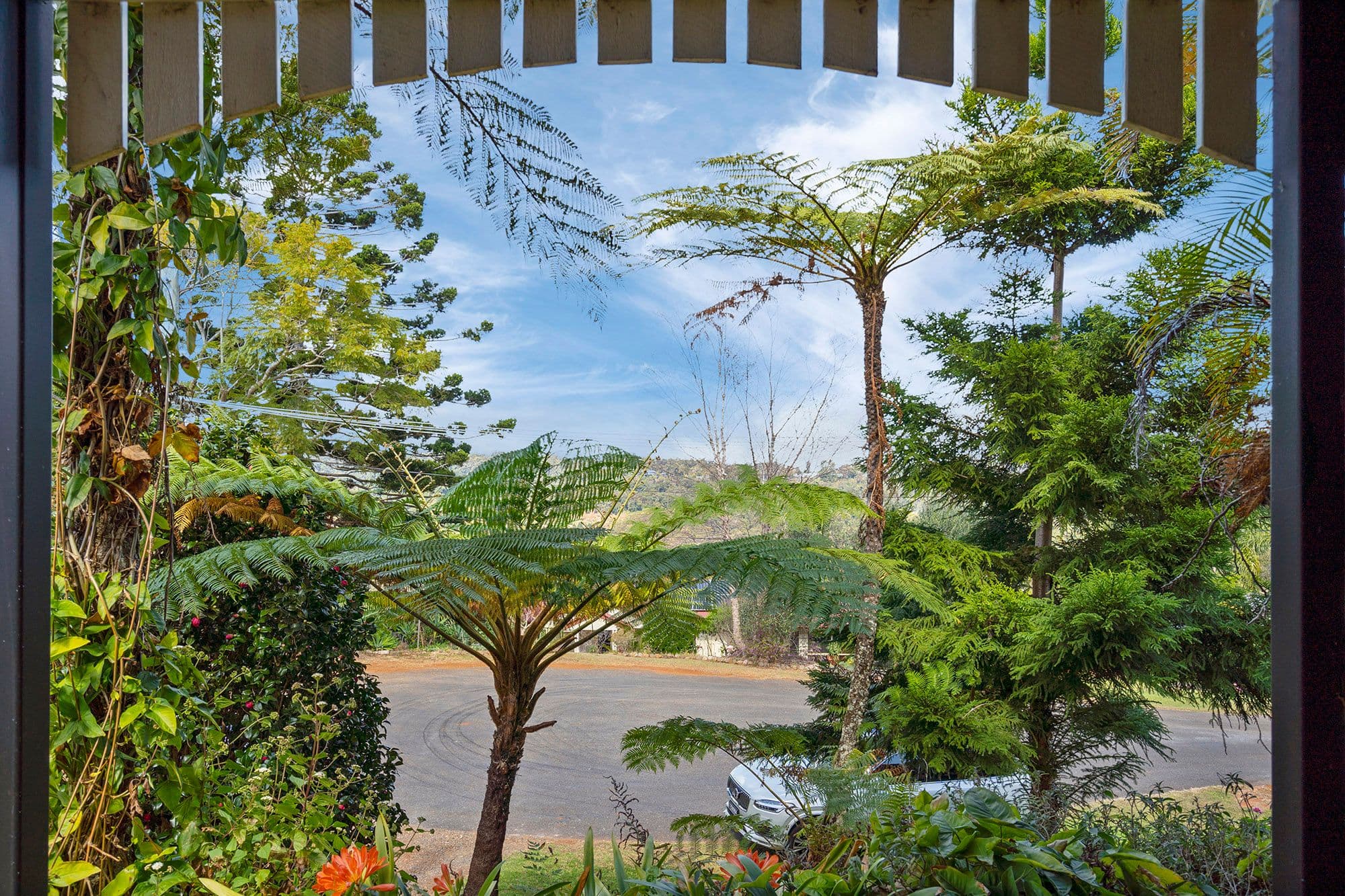 128 Licuala Drive, Tamborine Mountain QLD 4272, Tamborine Mountain - Thumbnail 6