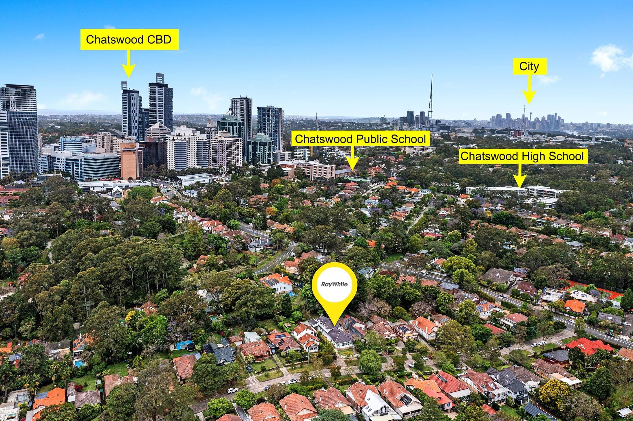 11 McLean Avenue, Chatswood NSW 2067, Chatswood - Thumbnail 2