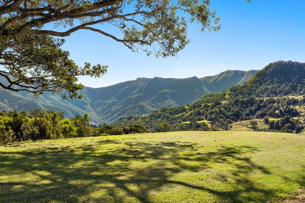 235 Limpinwood Valley Road, Limpinwood NSW 2484, Limpinwood - Thumbnail 2