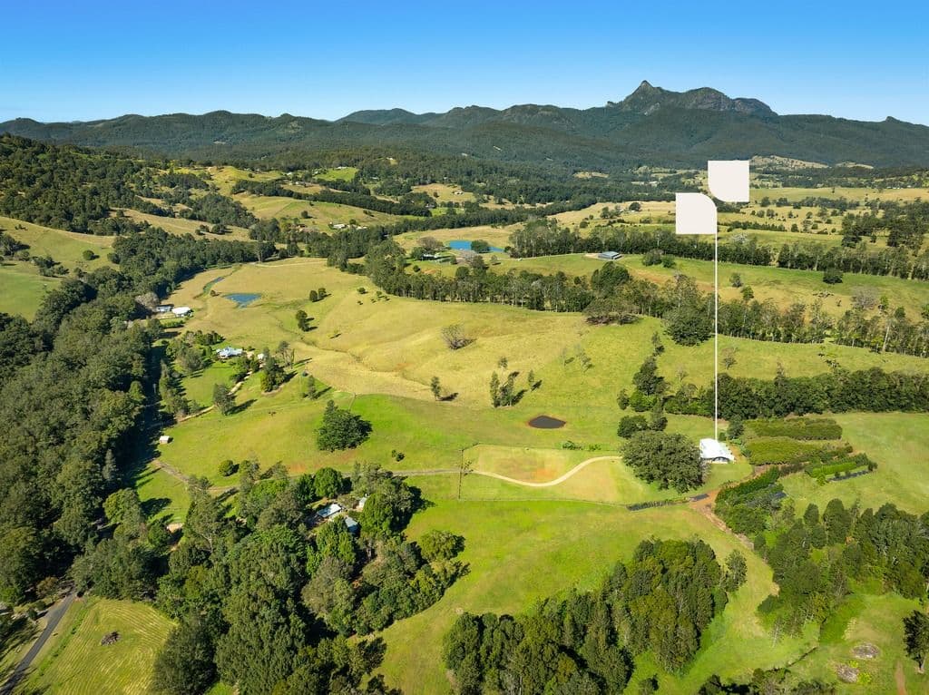 235 Limpinwood Valley Road, Limpinwood NSW 2484, Limpinwood - Thumbnail 8