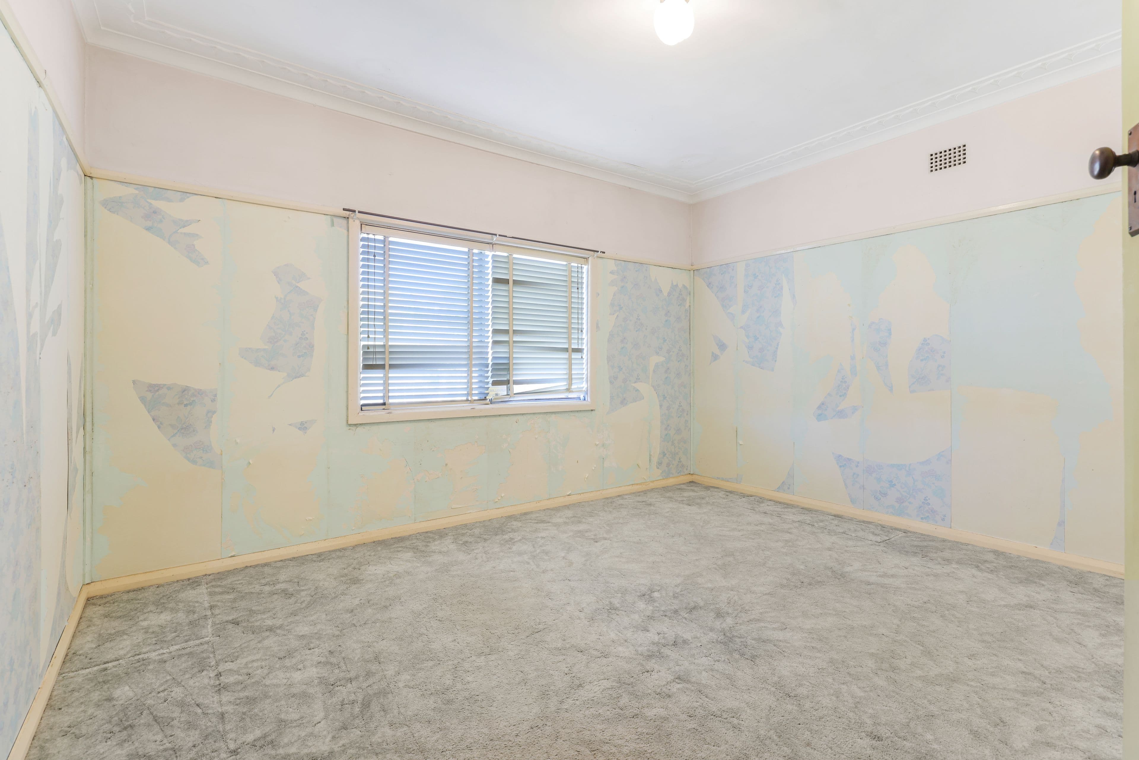 7 William Street, Tamworth NSW 2340, West Tamworth - Thumbnail 8