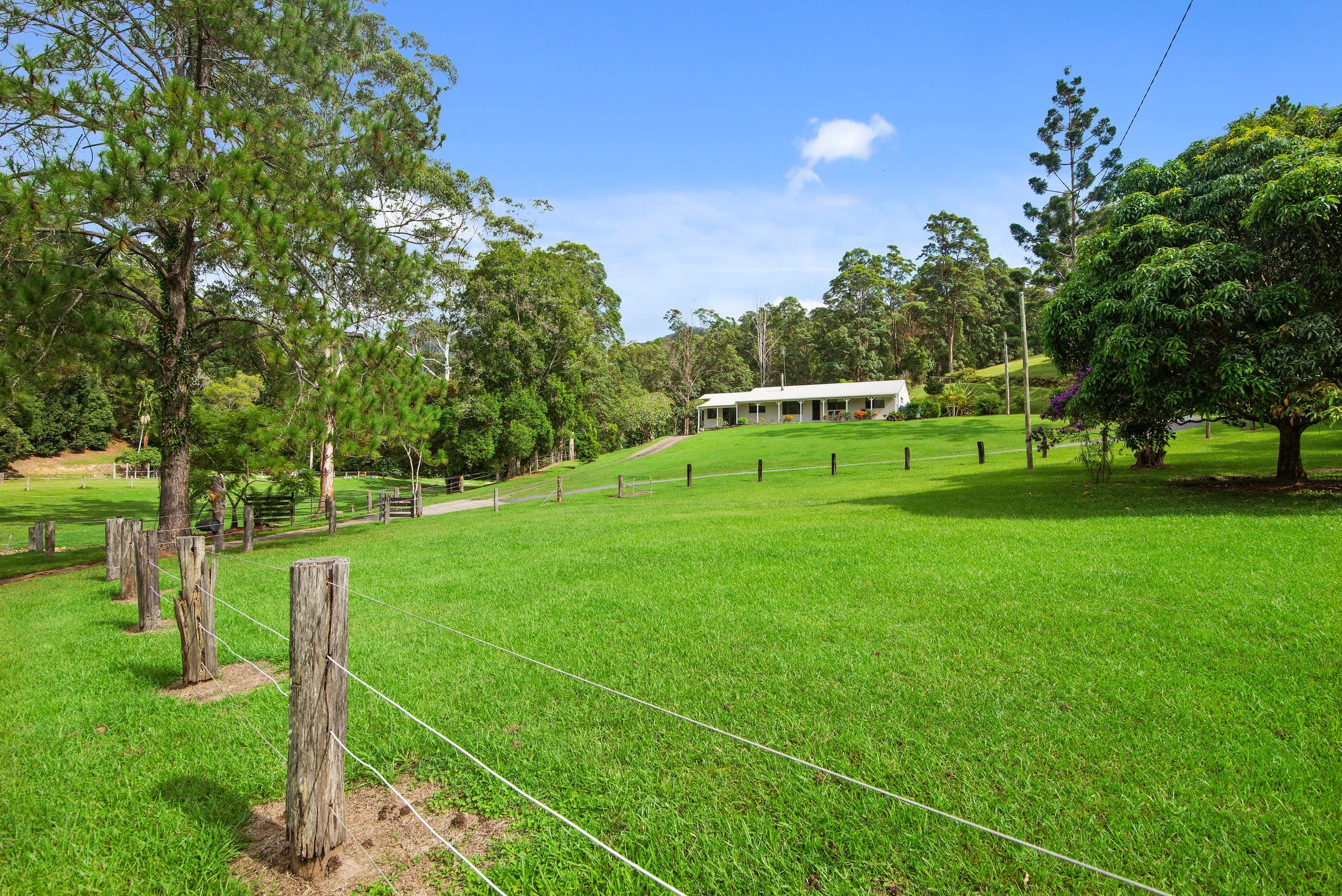 36 Dove Road, Tallebudgera Valley QLD 4228, Tallebudgera Valley - Image 1