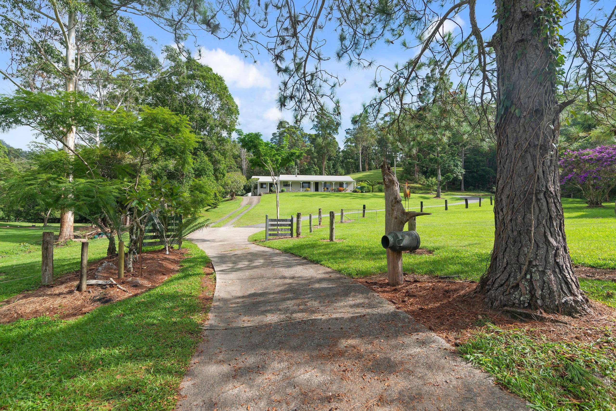 36 Dove Road, Tallebudgera Valley QLD 4228, Tallebudgera Valley - Thumbnail 2