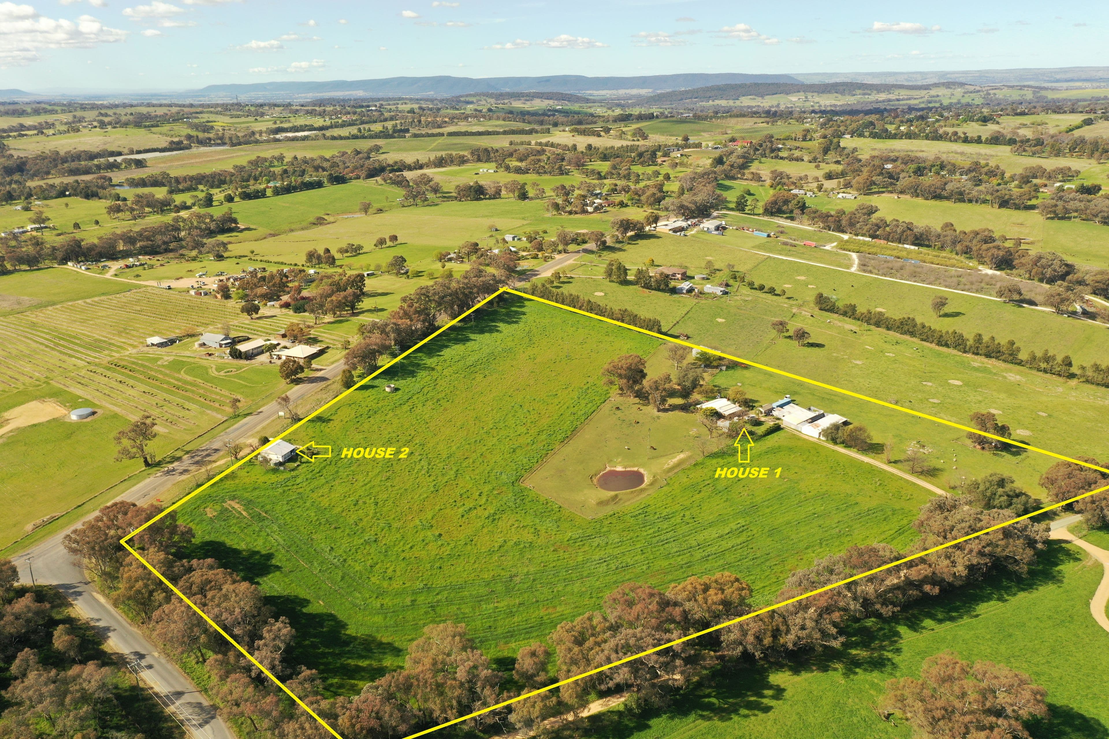 4207 Murringo Road, Young NSW 2594, Young - Image 1