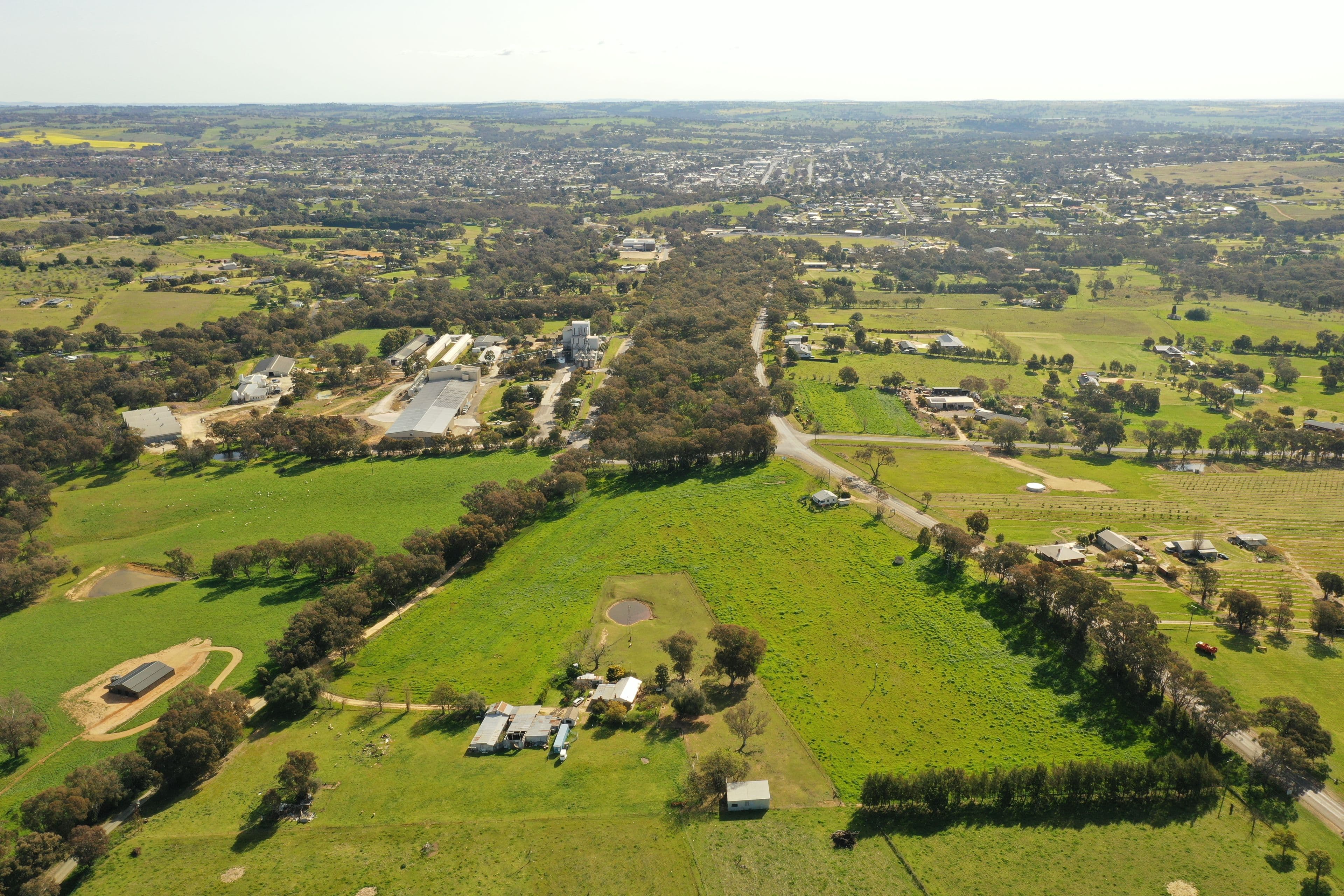 4207 Murringo Road, Young NSW 2594, Young - Thumbnail 3